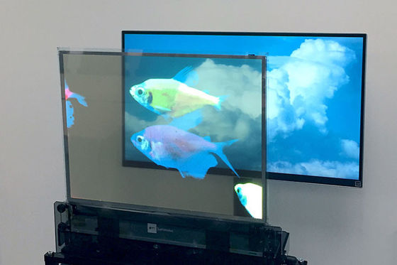 Yüksek Parlaklıklı OLED Şeffaf Ekran, Tam Renkli Şeffaf OLED Ekran Çok Kullanımlı