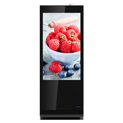 55 Inch Free Standing Digital Screen 8GB 16GB Depolama ile